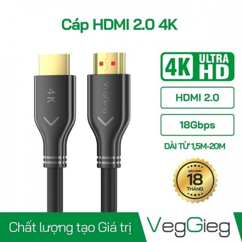 Cáp HDMI 2.0 dài 5M V-H109 VegGieg chính hãng