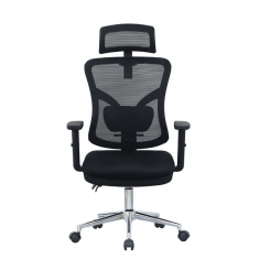 Ghế Công Thái Học E-Dra EEC212